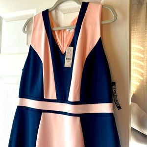 Brand new/never worn; body cam dress, sleeveless, v-neck, navy and pink